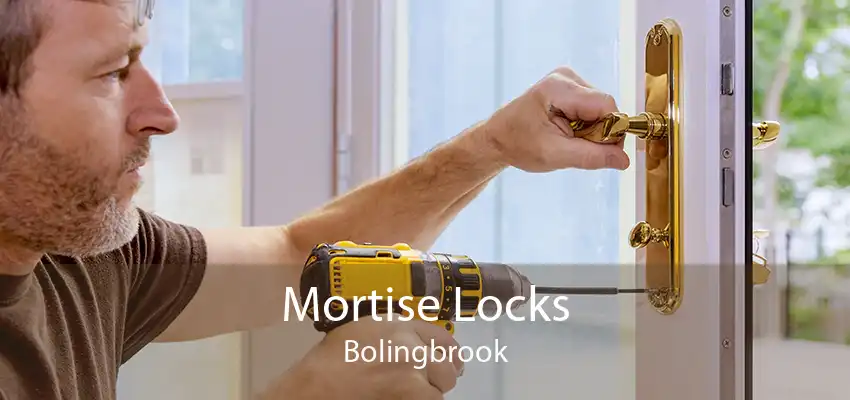 Mortise Locks Bolingbrook