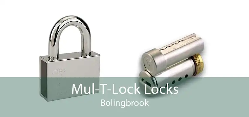Mul-T-Lock Locks Bolingbrook